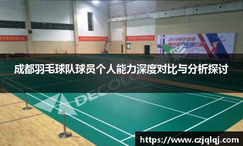 成都羽毛球队球员个人能力深度对比与分析探讨