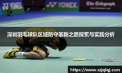 深圳羽毛球队区域防守革新之路探索与实践分析